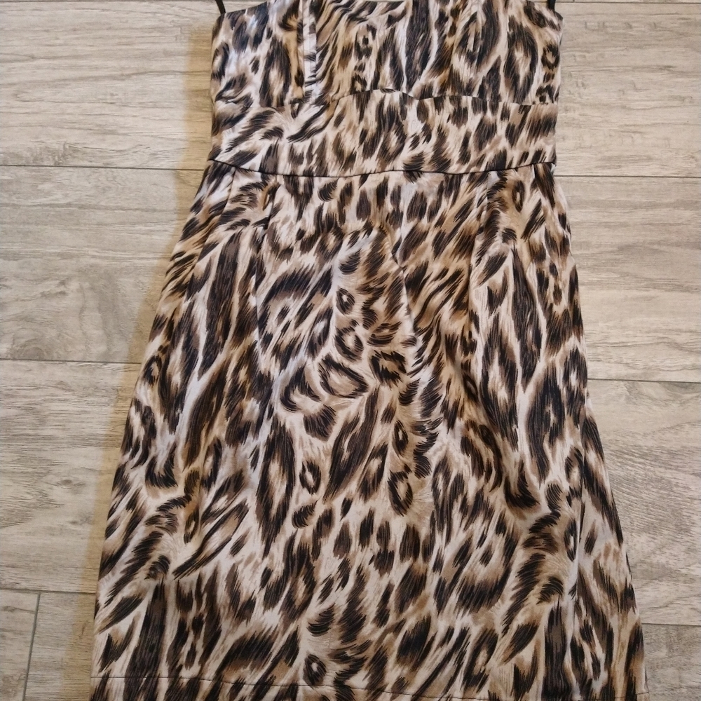 Dress Animal Print